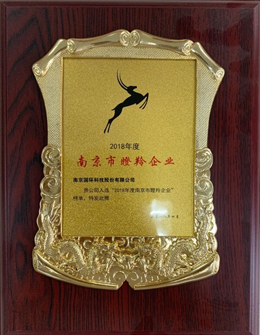 南京市瞪羚企業(yè)